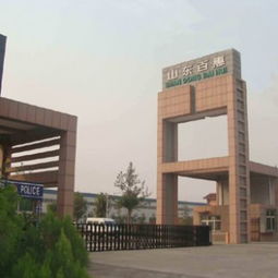 環(huán)保羅茨風(fēng)機(jī)在市政及電力行業(yè)廢氣排放與除塵中的應(yīng)用